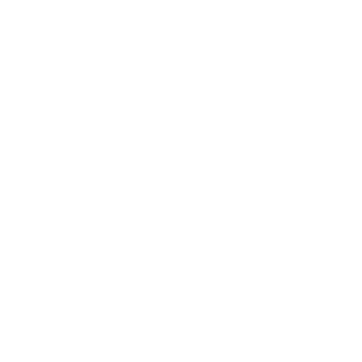 Solo Motor